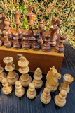 Jeu d’échecs Lardy années 1970 avec Cavaliers aux yeux incrustés  – Roi de 8,5 cm (très bon état)