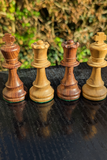 Jeu d’échecs Lardy années 1970 avec Cavaliers aux yeux incrustés  – Roi de 8,5 cm (très bon état)