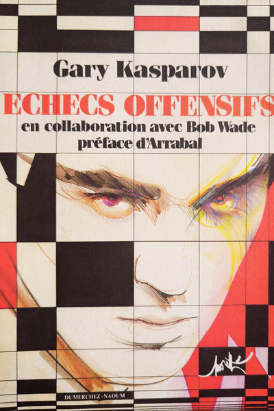 Echecs Offensifs - Gary Kasparov (très bon état, rare)